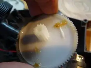 Saeco Royal Zahnrad im Getriebe austauschen