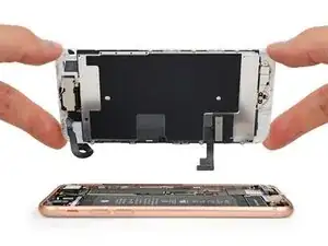 iPhone SE 2020 Display tauschen