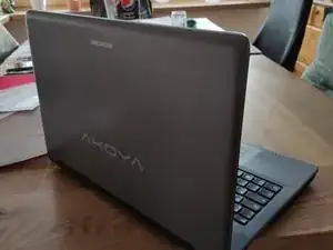 Festplatte durch SSD tauschen