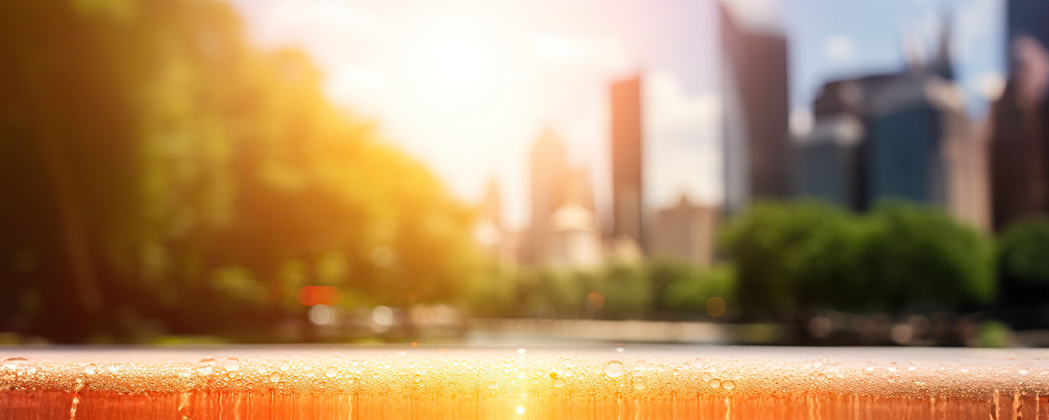 City scape with trees on one side and the skyline of a city on the other. The pavement is wet with condensation from the humidity, the hot sun casts a yellow light over everything.