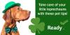 A dog wearing a green hat and bowtie. Take care of your little leprechauns with these pet tips.